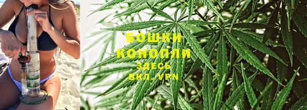 трава Заводоуковск